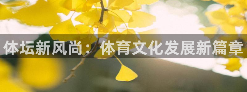 成都金熊猫体育：体坛新风尚：体育文化发展新篇章