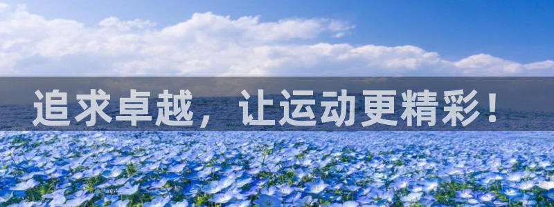 熊猫体育直播nba：追求卓越，让运动更精彩！