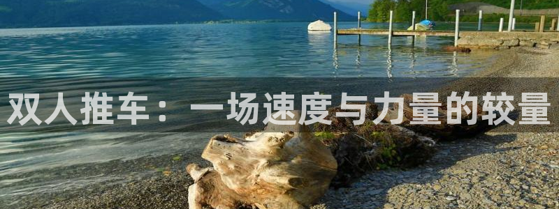 熊猫体育官网：双人推车：一场速度与力量的较量