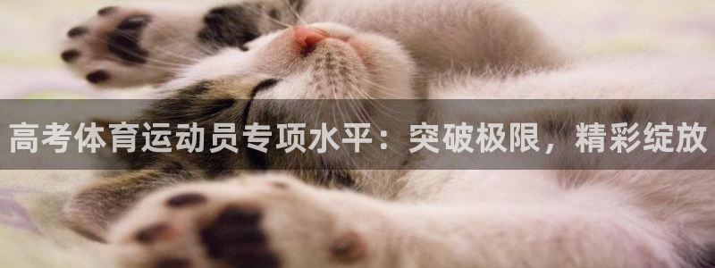 中山熊猫体育：高考体育运动员专项水平：突破极限，精彩绽放