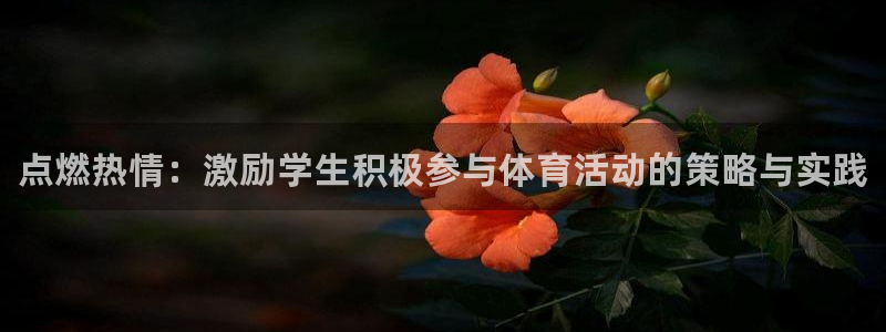 熊猫体育：点燃热情：激励学生积极参与体育活动的策略与实践
